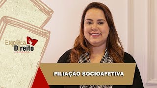 Explica Direito Filiação Socioafetiva  2019 [upl. by Goldwin]