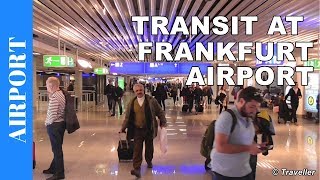 TRANSIT WALK AT FRANKFURT Airport FRA Terminal 1  Connection Flight Transfer Arriving amp Departing [upl. by Asenej]